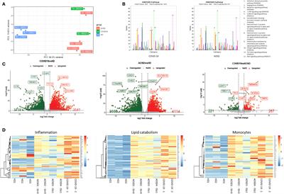 The specialized pro-resolving lipid mediator Protectin D1 affects macrophages differentiation and activity in Adult-onset Still’s disease and COVID-19, two hyperinflammatory diseases sharing similar transcriptomic profiles